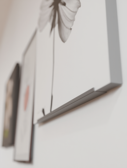 Photo Frame Holder (3 Sizes)